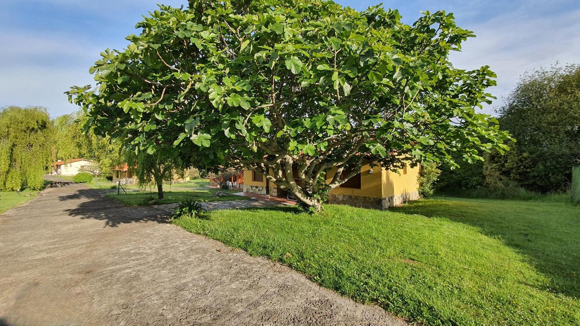 Hébergement de vacances Complejo Rural El Mirador De Ovio *