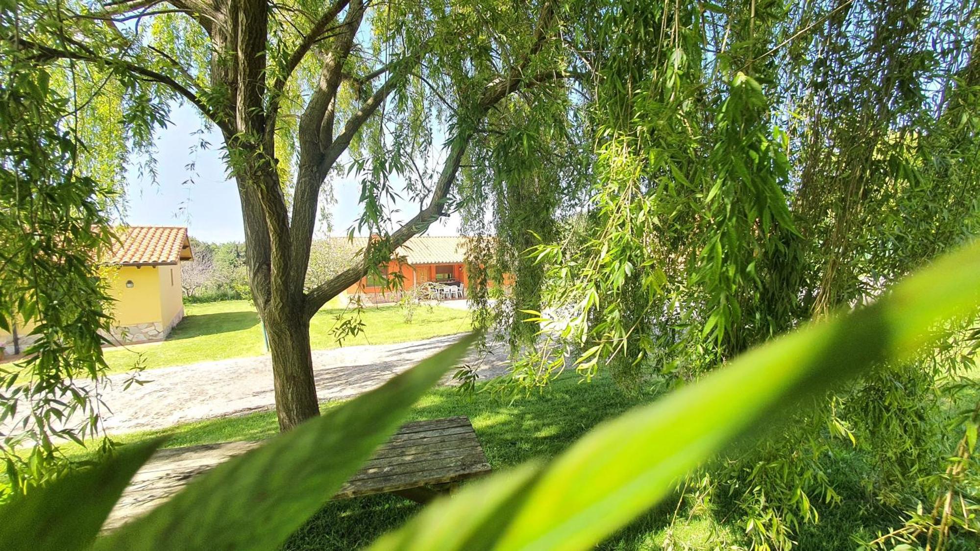 Hébergement de vacances Complejo Rural El Mirador De Ovio